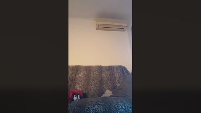 MissGaiaDior  10-11-2022